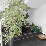 Hotel Allgaeuhotel Nord 3*