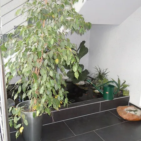 Hotel Allgäuhotel Nord 3*